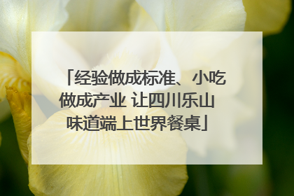经验做成标准、小吃做成产业 让四川乐山味道端上世界餐桌