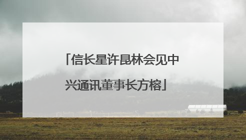 信长星许昆林会见中兴通讯董事长方榕