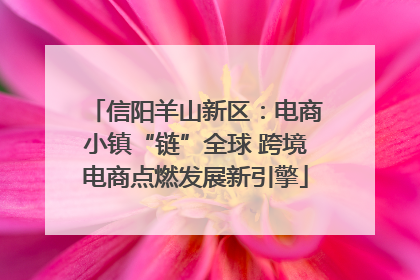 信阳羊山新区：电商小镇“链”全球 跨境电商点燃发展新引擎