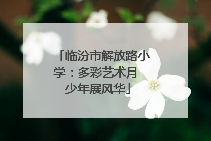 临汾市解放路小学：多彩艺术月 少年展风华