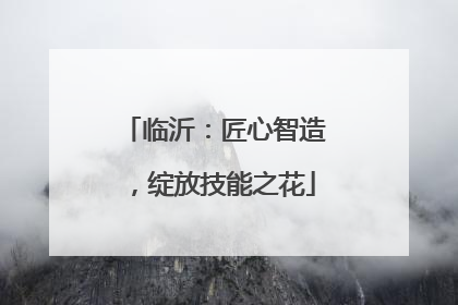 临沂：匠心智造，绽放技能之花