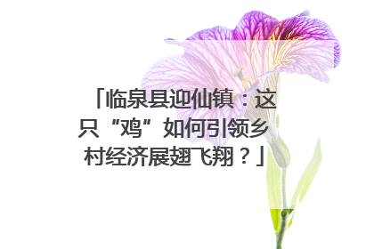 临泉县迎仙镇：这只“鸡”如何引领乡村经济展翅飞翔？