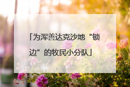 为浑善达克沙地“锁边”的牧民小分队