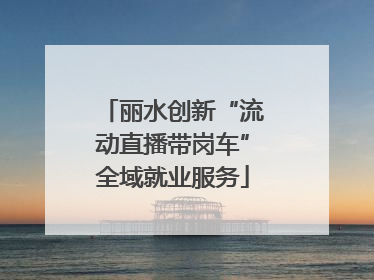 丽水创新“流动直播带岗车”全域就业服务