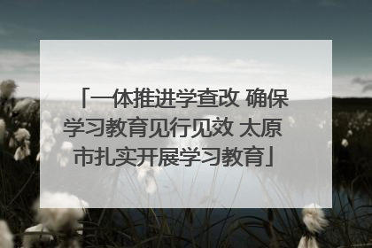 一体推进学查改 确保学习教育见行见效 太原市扎实开展学习教育