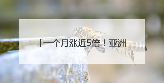 一个月涨近5倍！亚洲最大比特币持有者欲融资53亿美元 豪言要囤积21万枚比特币