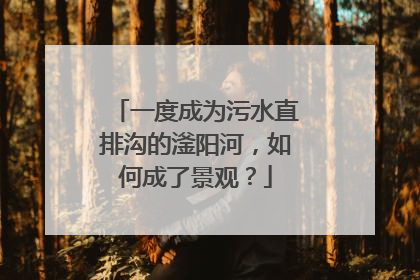 一度成为污水直排沟的滏阳河，如何成了景观？