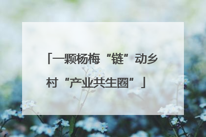 一颗杨梅“链”动乡村“产业共生圈”