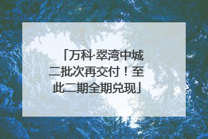 万科·翠湾中城二批次再交付！至此二期全期兑现