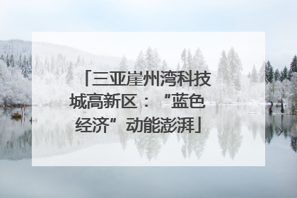 三亚崖州湾科技城高新区：“蓝色经济”动能澎湃