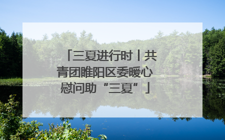 三夏进行时丨共青团睢阳区委暖心慰问助“三夏”