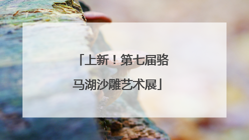 上新！第七届骆马湖沙雕艺术展