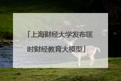上海财经大学发布匡时财经教育大模型