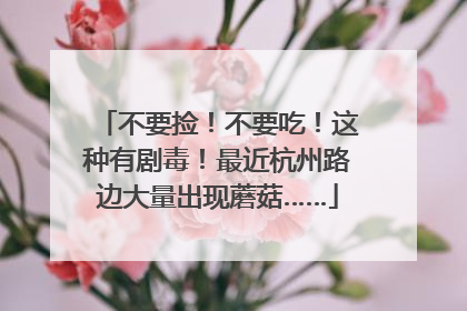 不要捡！不要吃！这种有剧毒！最近杭州路边大量出现蘑菇……