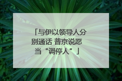 与伊以领导人分别通话 普京说愿当“调停人”