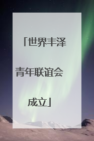 世界丰泽青年联谊会成立