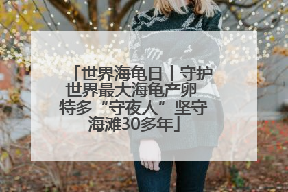 世界海龟日丨守护世界最大海龟产卵 特多“守夜人”坚守海滩30多年