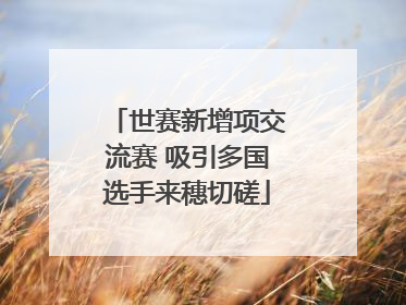 世赛新增项交流赛 吸引多国选手来穗切磋
