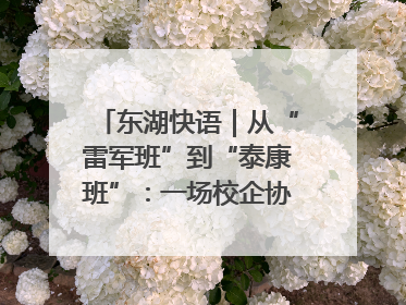 东湖快语｜从“雷军班”到“泰康班”：一场校企协同的“接力赛”