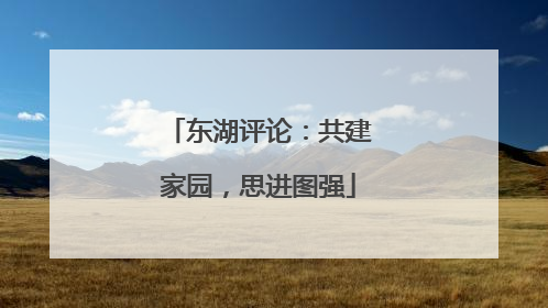 东湖评论：共建家园，思进图强