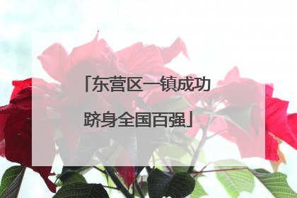 东营区一镇成功跻身全国百强