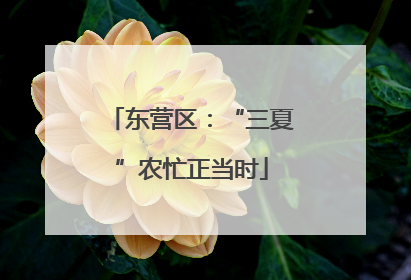 东营区：“三夏”农忙正当时