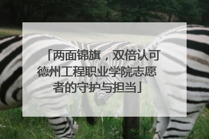 两面锦旗，双倍认可德州工程职业学院志愿者的守护与担当