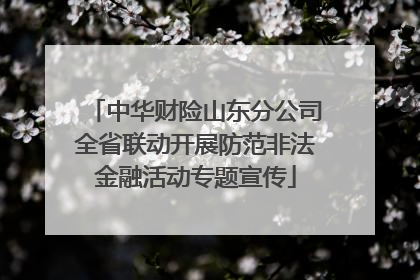 中华财险山东分公司全省联动开展防范非法金融活动专题宣传