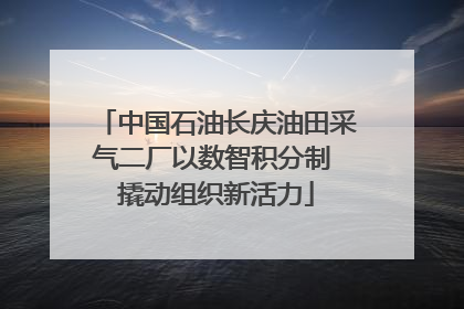 中国石油长庆油田采气二厂以数智积分制 撬动组织新活力