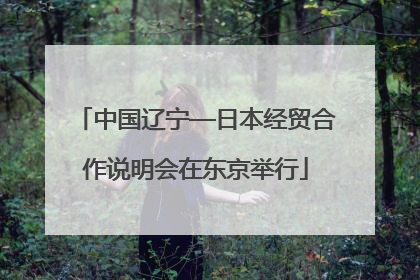 中国辽宁—日本经贸合作说明会在东京举行
