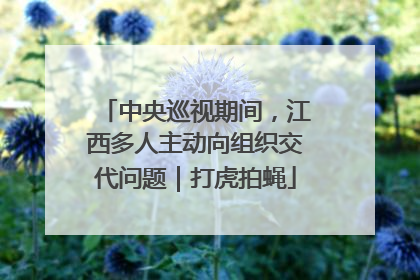 中央巡视期间，江西多人主动向组织交代问题｜打虎拍蝇