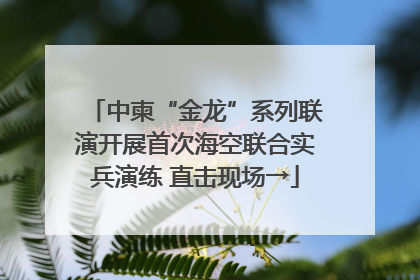 中柬“金龙”系列联演开展首次海空联合实兵演练 直击现场→