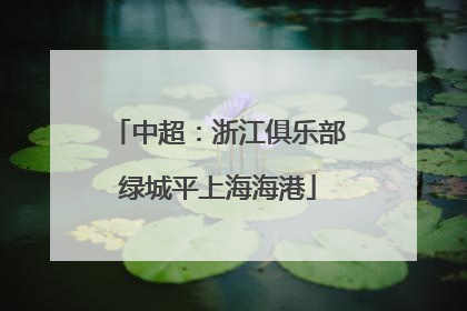 中超：浙江俱乐部绿城平上海海港
