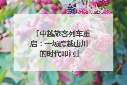 中越旅客列车重启：一场跨越山川的时代叩问