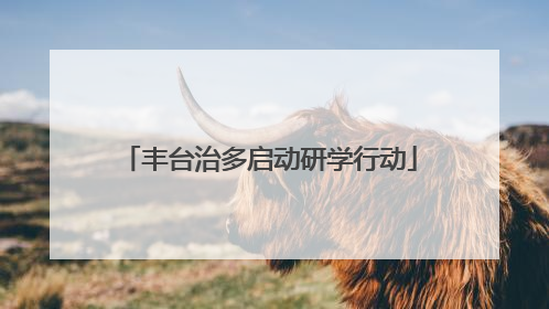 丰台治多启动研学行动