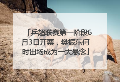 乒超联赛第一阶段6月3日开票，樊振东何时出场成为一大悬念