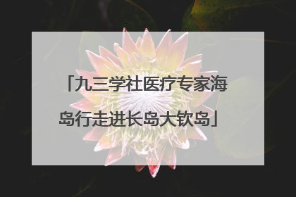 九三学社医疗专家海岛行走进长岛大钦岛