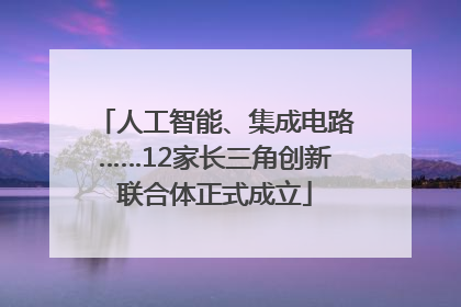 人工智能、集成电路……12家长三角创新联合体正式成立