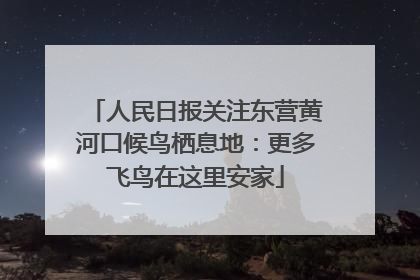 人民日报关注东营黄河口候鸟栖息地：更多飞鸟在这里安家