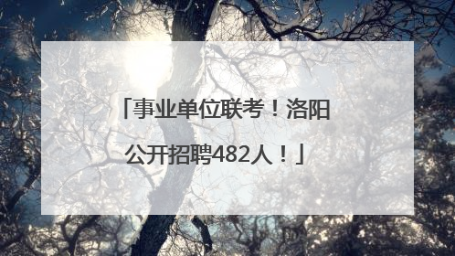 事业单位联考！洛阳公开招聘482人！