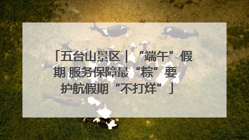 五台山景区｜“端午”假期 服务保障最“粽”要 护航假期“不打烊”