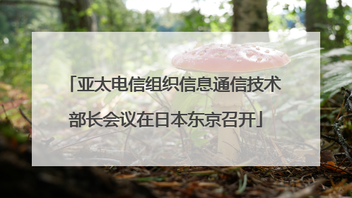亚太电信组织信息通信技术部长会议在日本东京召开
