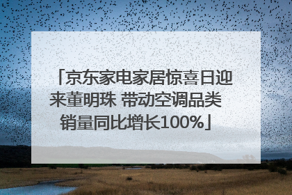 京东家电家居惊喜日迎来董明珠 带动空调品类销量同比增长100%