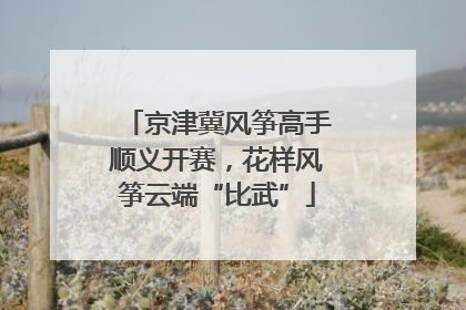 京津冀风筝高手顺义开赛，花样风筝云端“比武”