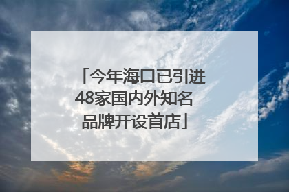 今年海口已引进48家国内外知名品牌开设首店