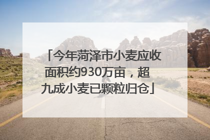 今年菏泽市小麦应收面积约930万亩，超九成小麦已颗粒归仓