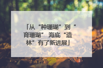 从“种珊瑚”到“育珊瑚” 海底“造林”有了新进展
