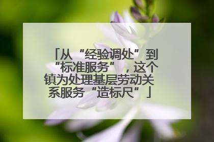 从“经验调处”到“标准服务”，这个镇为处理基层劳动关系服务“造标尺”