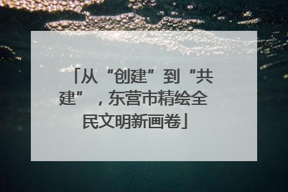 从“创建”到“共建”，东营市精绘全民文明新画卷