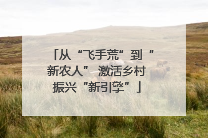 从“飞手荒”到“新农人” 激活乡村振兴“新引擎”